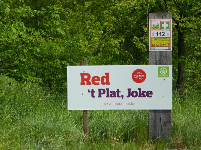 Plat