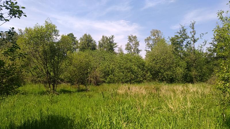 Ruitersbroek_PieterCox