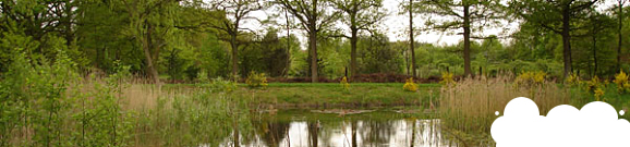 Pieter Cox