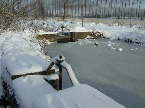 WinterAlbert5