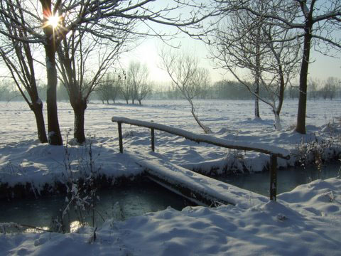 WinterAlbert3