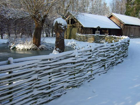 WinterAlbert6