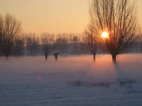 WinterAlbert1