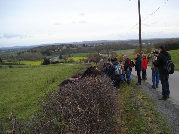 Ardennen3