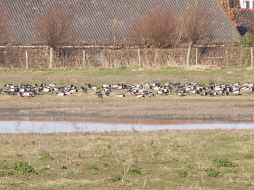 Zeeland4