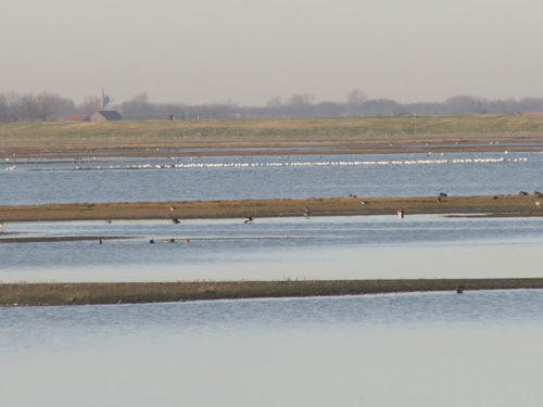 Zeeland5