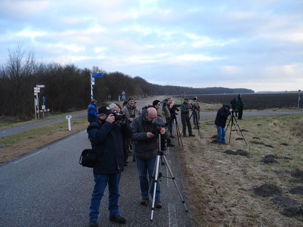 Zeeland1