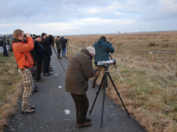 Zeeland3