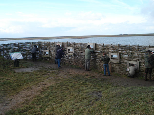 Zeeland4