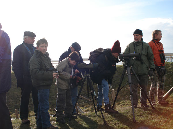 Zeeland5