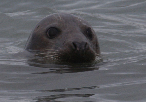 Zeeland8