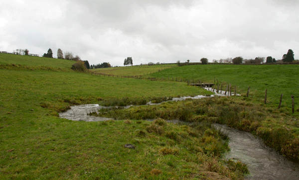 ArdennenPieterCox