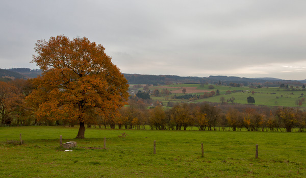 PieterCox