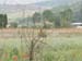 PICT0101