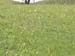 PICT0376