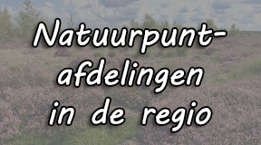 Foto: Pieter Cox