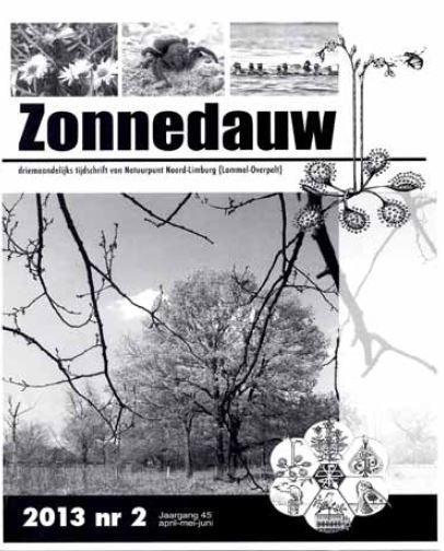 Zonnedauw6
